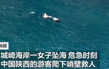 中国大哥日本勇救落水女子是怎么回事?详情介绍