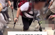 基地回应盲人带导盲犬爬泰山：暂停使用，将派专人专车接回