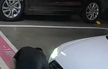 男子改 号牌白嫖7000元停车费被刑拘是怎么回事？详情介绍