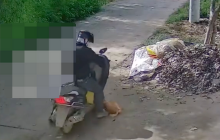 男子骑车投毒偷走村民家看门黄狗是怎么回事？详情介绍