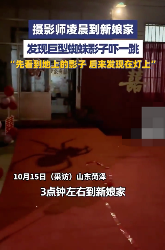 摄影师凌晨发现巨型蜘蛛影子吓一跳是怎么回事？详情介绍