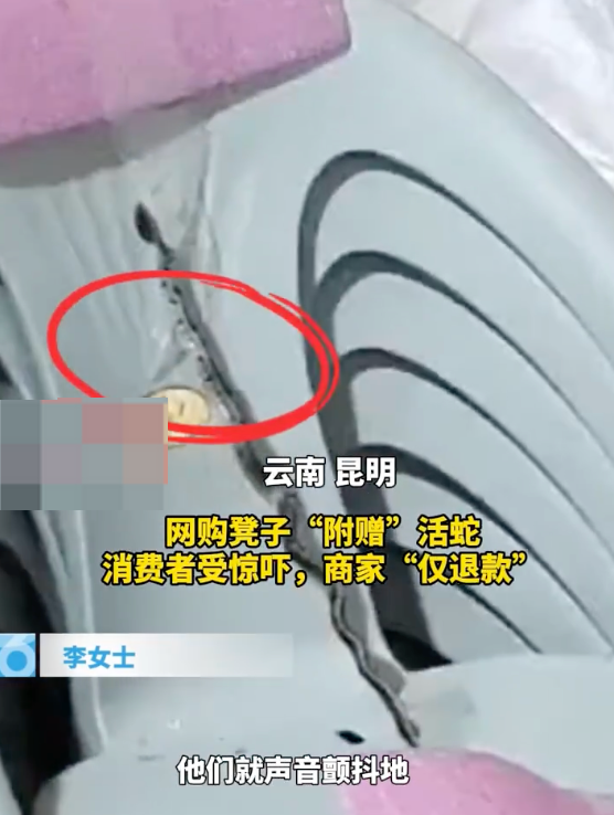 女子网购塑料凳拆出活蛇 当事人：活蛇是被人为的死死缠在凳上
