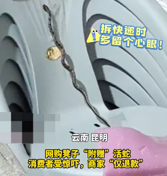 女子网购塑料凳拆出活蛇是怎么回事？详情介绍