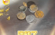 动物园丹顶鹤吃下许愿池10枚硬币是怎么回事?详情介绍