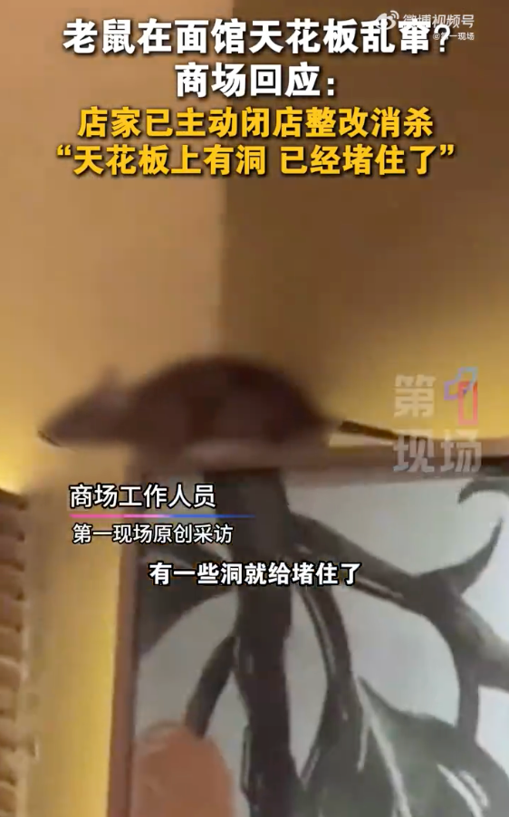 商场回应餐厅天花板上老鼠乱窜:已闭店整改进行消杀 - php中文网