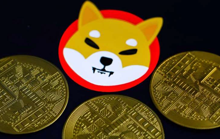 Shiba Inu(SHIB)价格预测:2025年、2030年走势如何