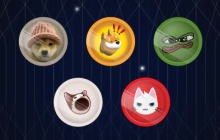 “土狗”项目淘金指南：高风险高回报，如何筛选并控制风险？