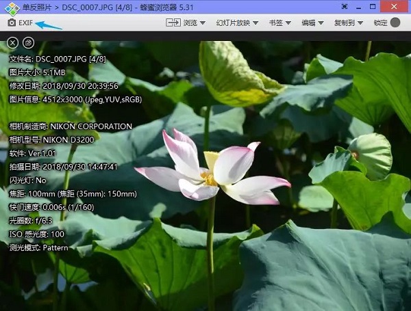 Honeyview 5.31 Windows中文界面,EXIF入口旁的箭头及文件信息显示DSC_0007.JPG和4/8,证明跳转前核对当前文件与浏览序号的步骤
