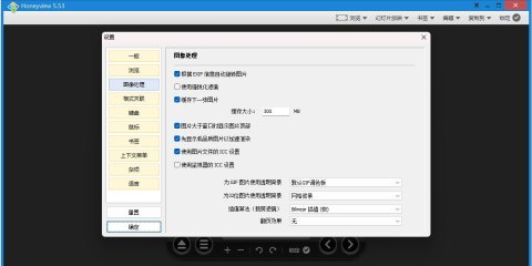 Honeyview5.53 Windows中文图像处理页,缓存下一张图片已勾选,缓存大小300MB可见