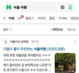 Naver Cafe搜索分类及公开讨论摘要