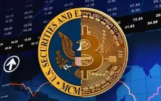 Detailed guide to check transaction records after virtual currency is cancelled