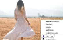 免费看影片的浏览器2025汇总
