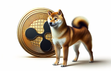 虚拟币哪个app靠谱？