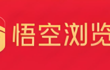 悟空浏览器看小说网页版地址 悟空浏览器看小说网页入口