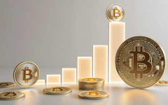 What is the difference between the primary and secondary markets of virtual currency? Analysis of virtual currency trading platform