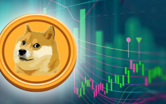 Review of the most complete historical price of Dogecoin 2015-2025 (the latest version of 2025)