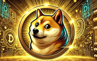 Stratégie d'enregistrement et de vente des nouveaux arrivants de Dogecoin: Choisir la bonne plate-forme est la clé!