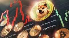 How to convert Dogecoin to fiat currency? Latest detailed guide