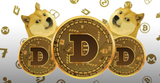 哪种Dogecoin Exchange提供最低费用？成本比较