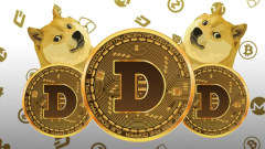 Which Dogecoin Exchange offers the lowest cost? Cost comparison