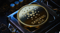 What is Cardano's smart contract chain? Founder background? What is the mainstream status?