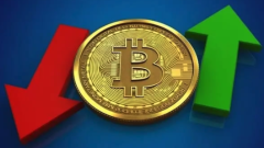 Recharge BTC delay? How to deal with it? Detailed Guide