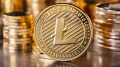 Comment saisir les tendances du marché du litecoin en temps réel Litecoin Price Query Platform Entrance