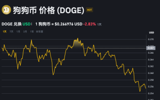 DogeCoin ?? ?? ?? DogeCoin ?? ?? ?? ??? ???? ?? ??