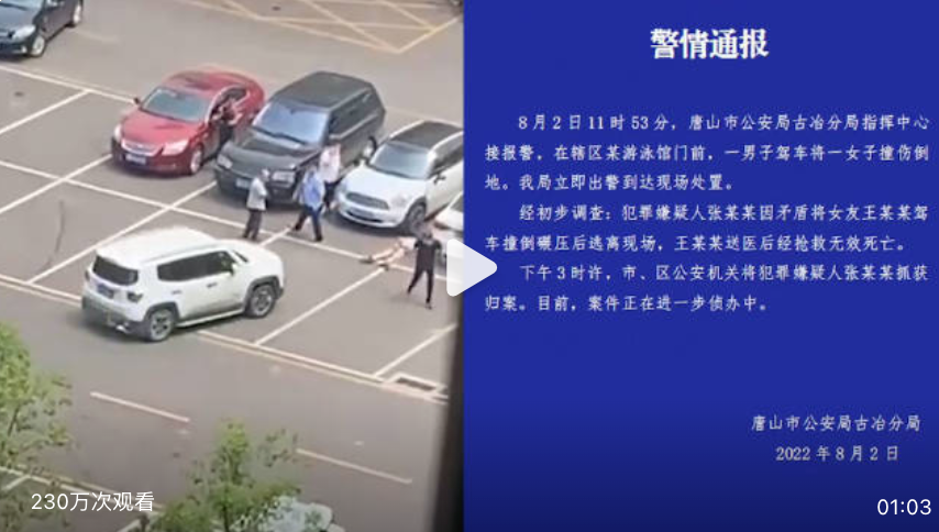 男子开车撞倒碾压女友致死辩称没看到：被判处无期徒刑