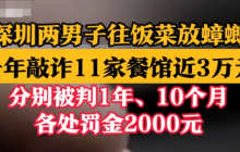 深圳两男子饭菜放蟑螂敲诈11家餐馆 累计获利近3万元,获刑1年