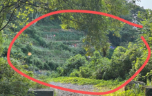 女子踩化骨水身亡细节公布是怎么回事?详细介绍