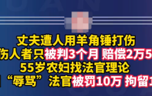 丈夫被打妻子讨说法辱骂法官被重罚是怎么回事？详细介绍