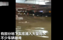 温州强降雨致车库大量车辆被淹 市应急局：防汛工作正在进行