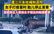 孕妇骑车被狗追致胎停后续：整宿不能入睡，赔偿诉讼迟迟无果