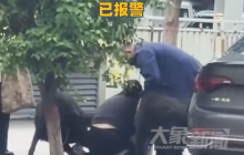大娘为护狗被大狗扑咬受伤是怎么回事？详细介绍