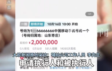 尾号66666666手机号200万起拍:保证金40万元,增价幅度1万元