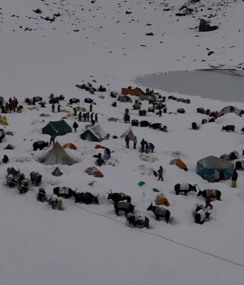 被困珠峰游客称暴雪闪电中挺过一晚是怎么回事?详情介绍