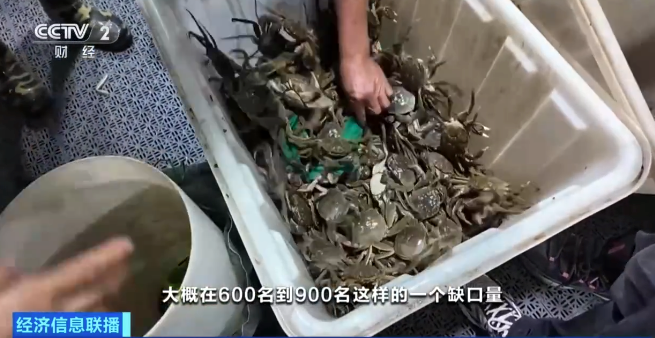挑蟹师月入2万还缺人是怎么回事？详情介绍