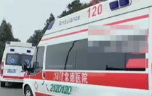 湖南常德太阳山多人被马蜂蜇伤就医 医院：目前情况稳定