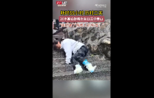 高位截瘫女生回应55小时手攀泰山 “我打破了残疾人的标签！”