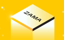 隐私协议Zama FHE代币爆火：全球AI监管加码，加密数据计算行情领跑
