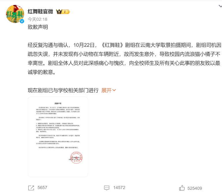 红舞鞋剧组将以小橘子名字成立基金 涉事司机已经辞职 红舞鞋剧组将以小橘子名字成立基金 涉事司机已经辞职