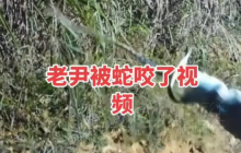 救援人员连续两天搜救疑被蛇咬网红 最新消息：车辆寻获，人仍失踪