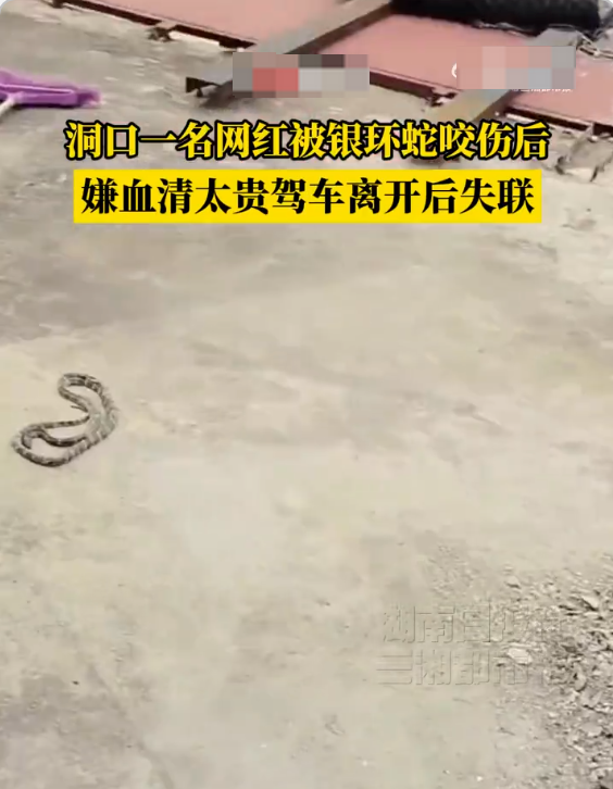 湖南59岁网红直播捕蛇被咬 拒绝治疗后失联 警方:已通知家属,仍在搜救中 - php中文网