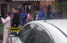 网红疑被毒蛇咬伤后失联 最新进展:人没事,已找到 看到救援队和民警后又跑了