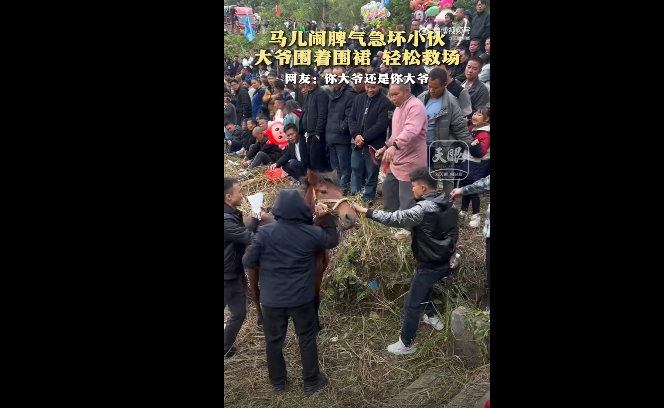 马儿闹脾气被围裙大爷轻松驯服 网友:你大爷还是你大爷 - php中文网