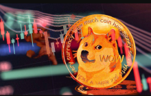 狗狗币入手平台推荐 doge狗狗币软件2026