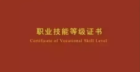1x证书查询入口_1x职业技能证书查询入口