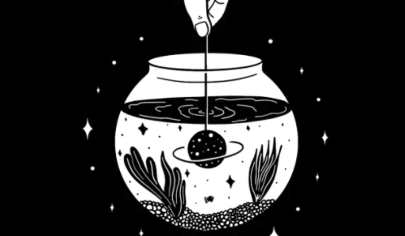 fishbowl手机性能测试入口 fishbowl电脑在线测评 - php中文网