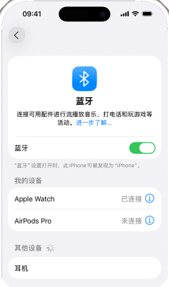 iPhone 设置蓝牙页面显示蓝牙开关和附近设备列表